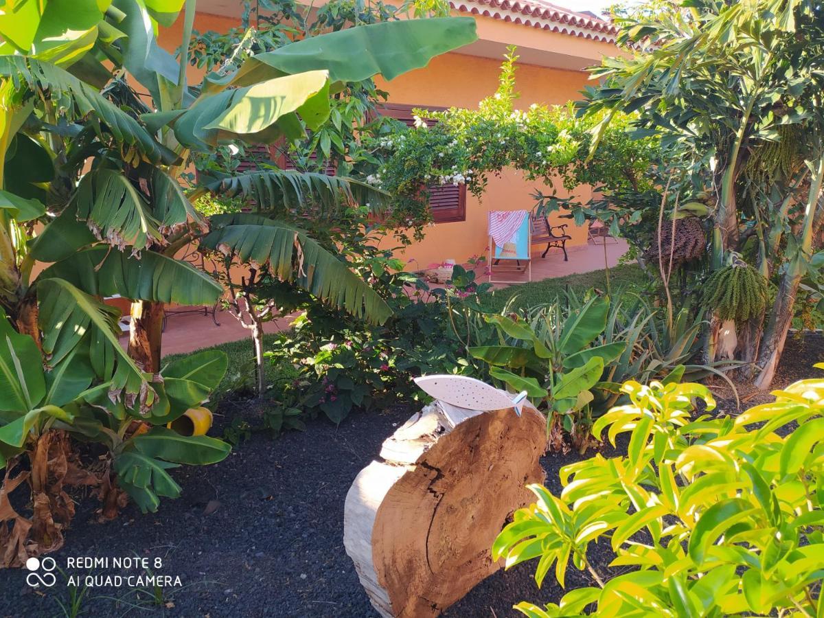 Energy Garden Villa Bajamar  Exterior photo